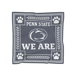 Penn State Poly Scarf